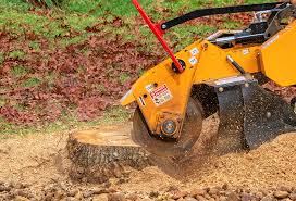 How Our Tree Care Process Works  in  Orangeburg, NY